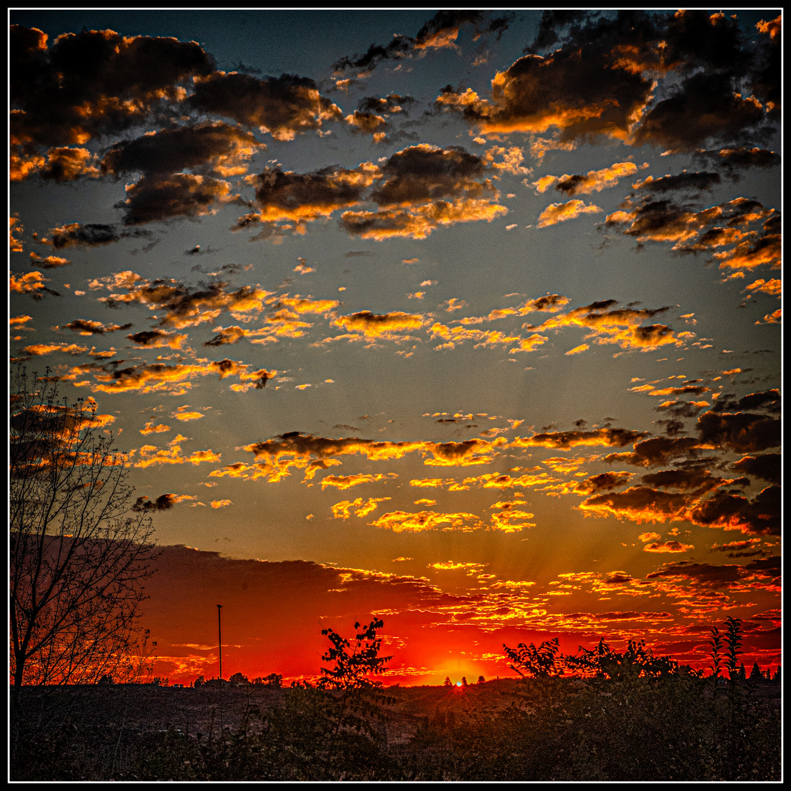 _7501361-Edit.jpg