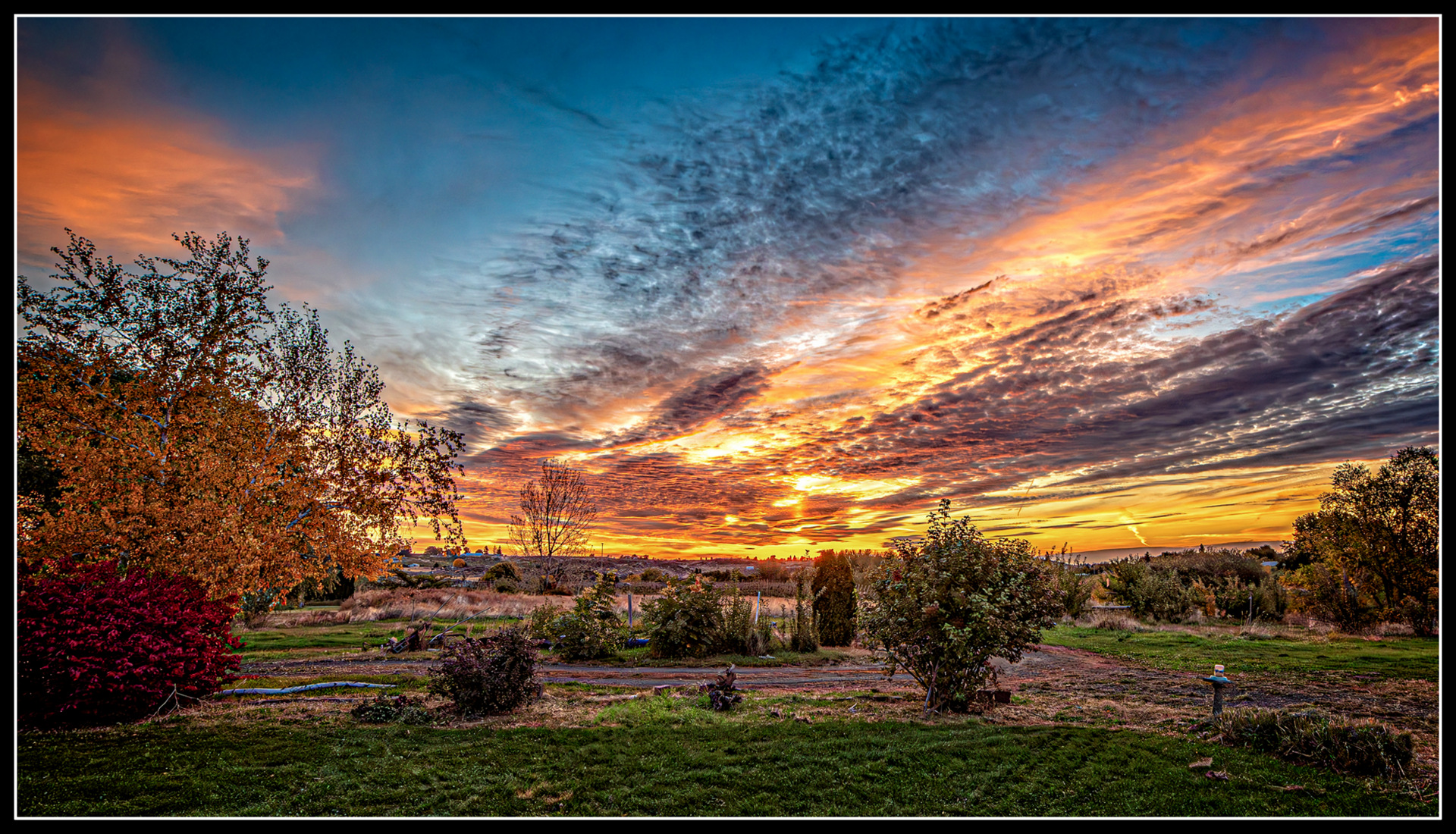 _7501716-Enhanced-NR-Edit.jpg