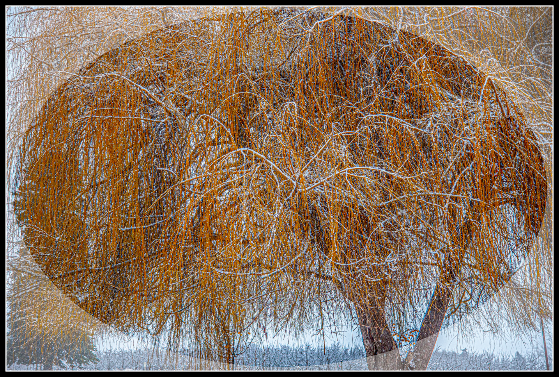 _7502094-Edit.jpg