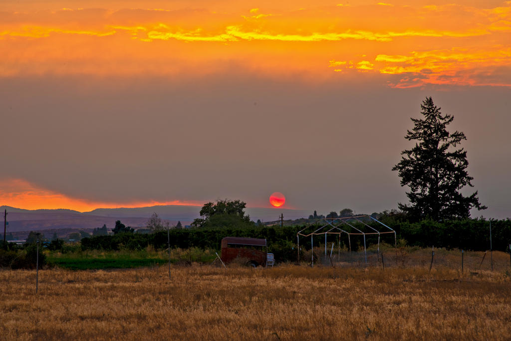 _7502226-HDR-Edit.jpg