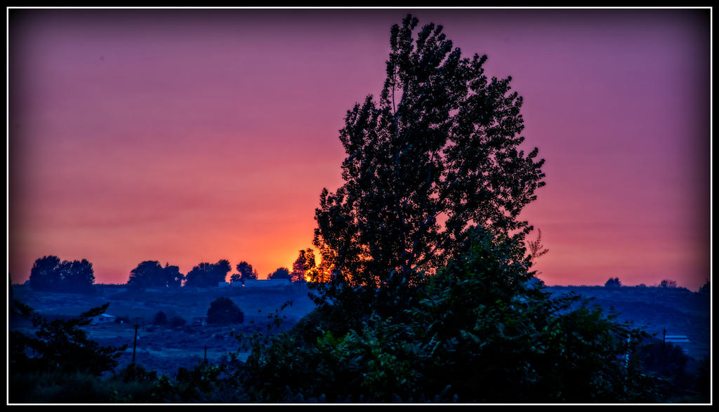 _7502401-HDR-Edit.jpg
