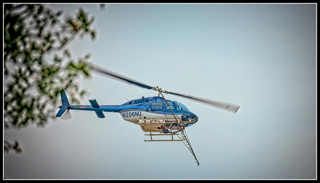 _7502571-Edit.jpg