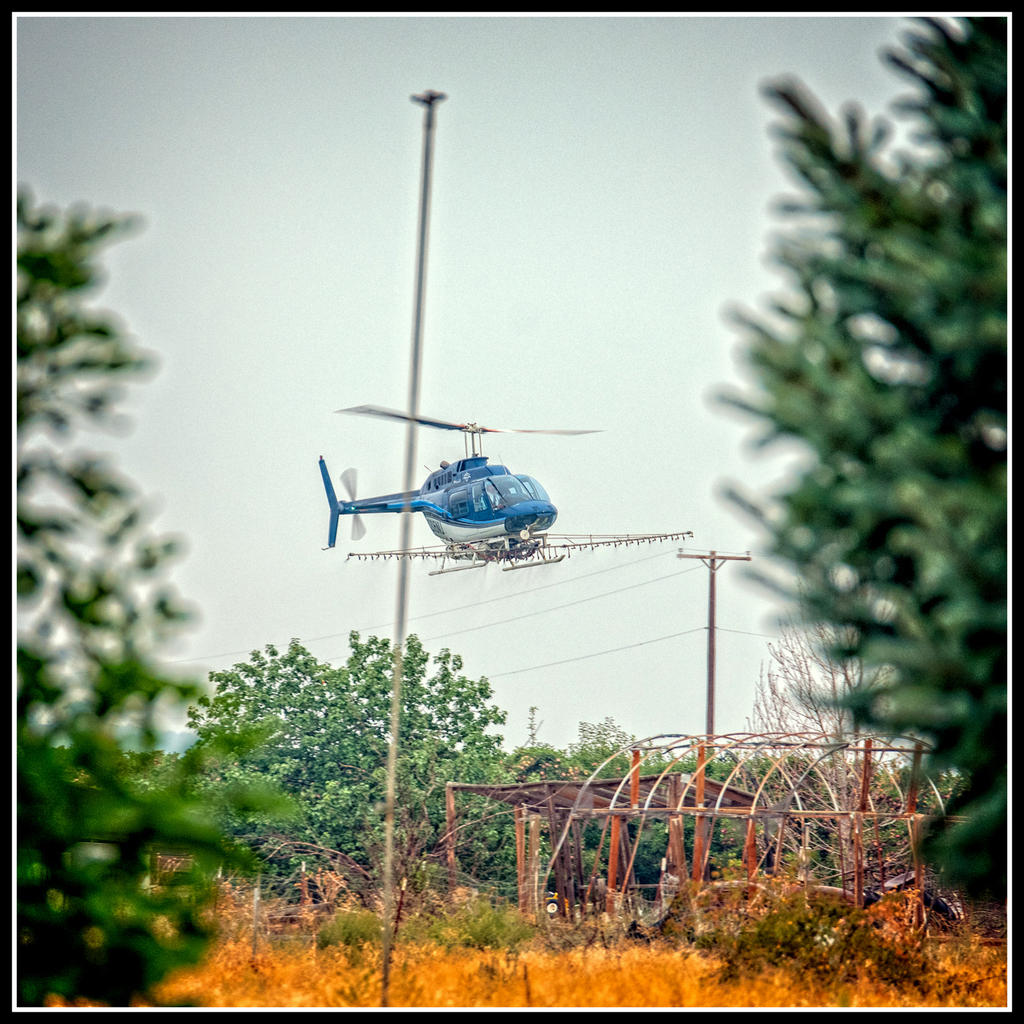 _7502592-Edit.jpg