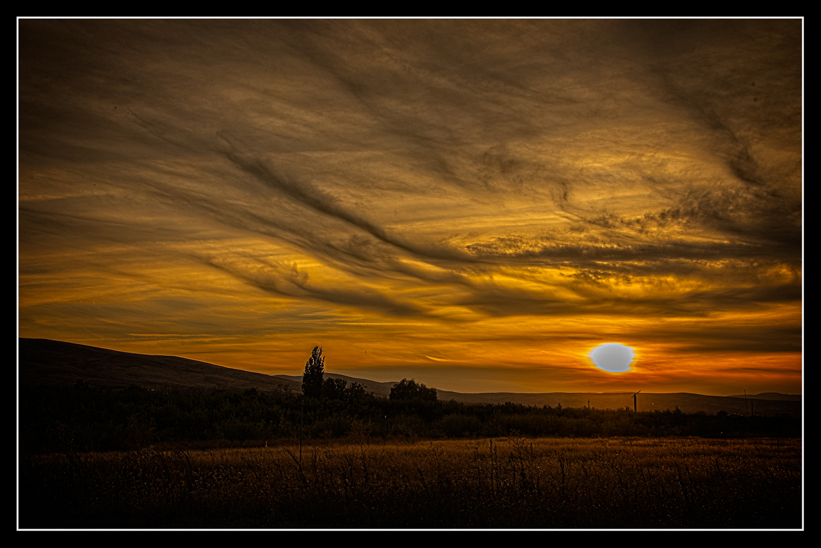 _7502886-Edit.jpg