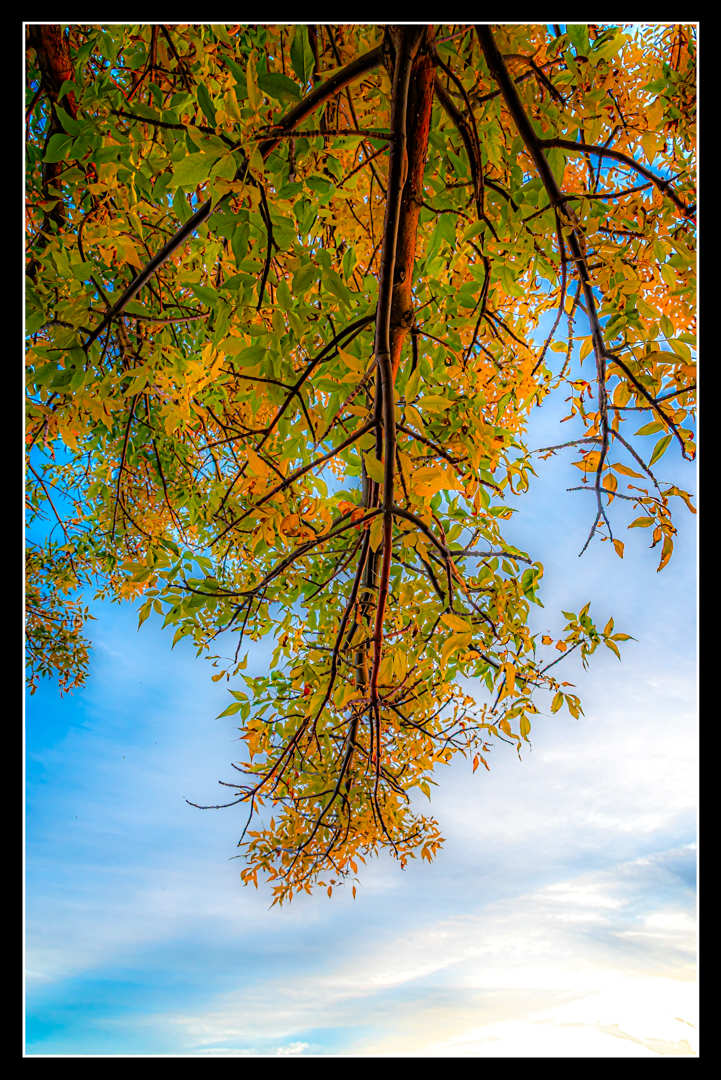 _7502900-Edit.jpg