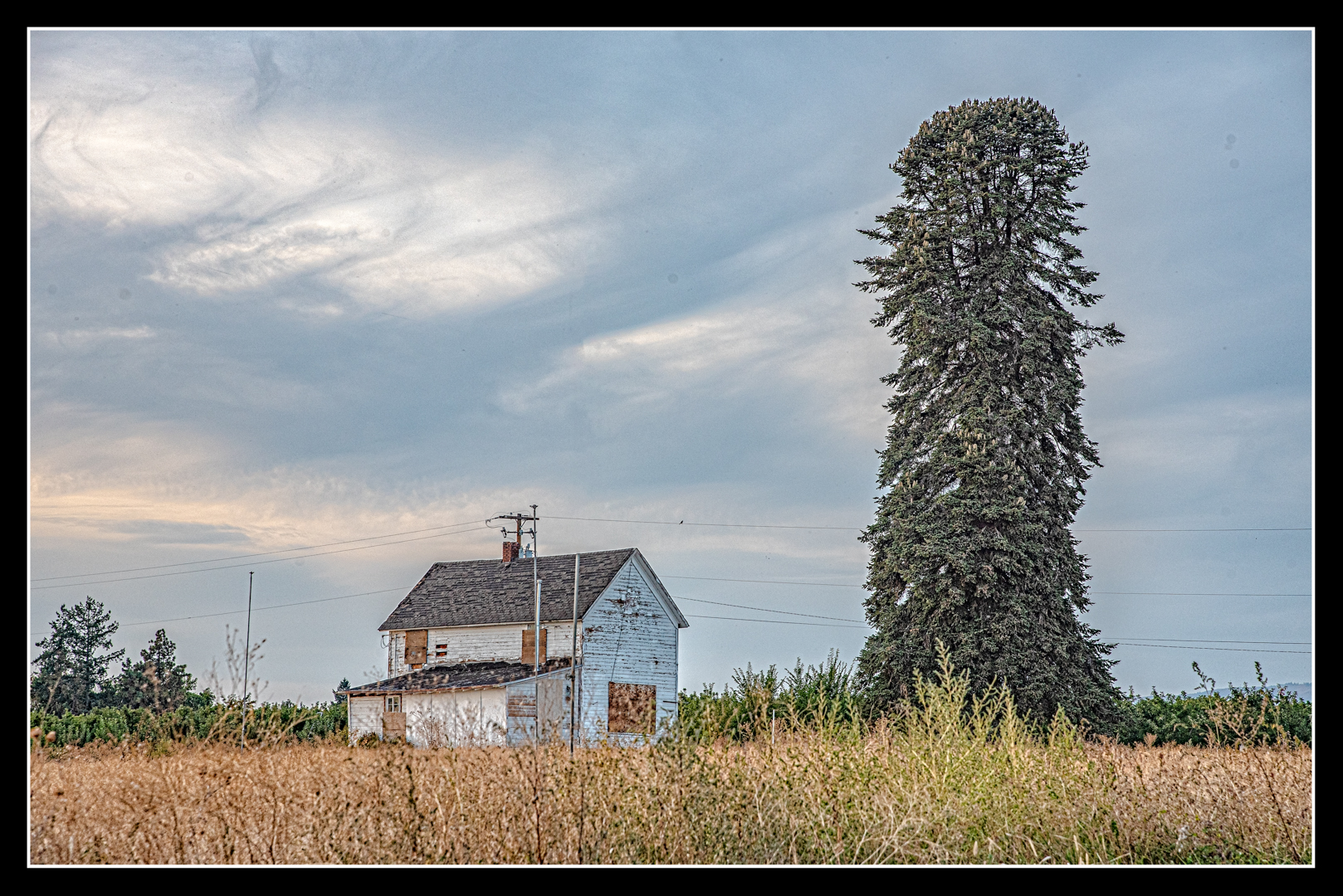 _7502903-Edit.jpg