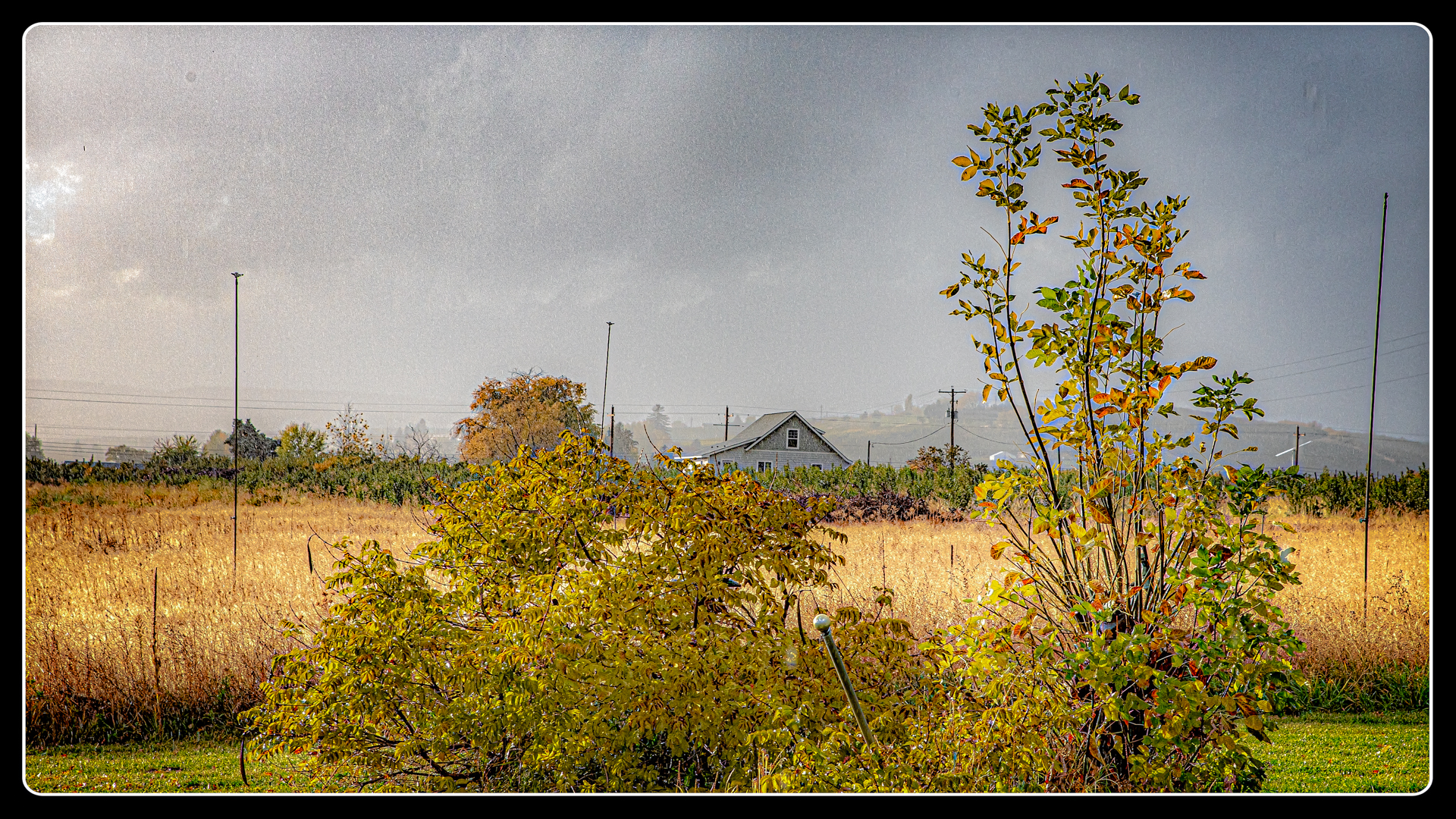_7502925-Edit.jpg