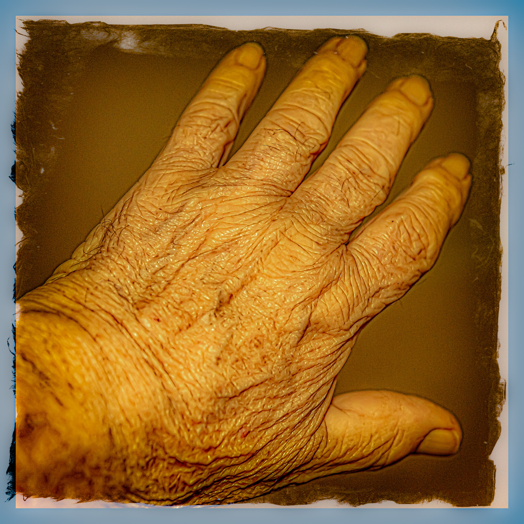 _7503648-Edit.jpg