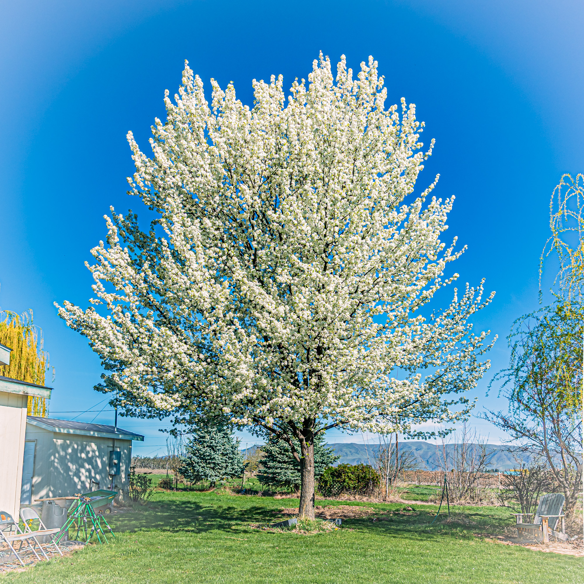 _7503660-HDR.jpg