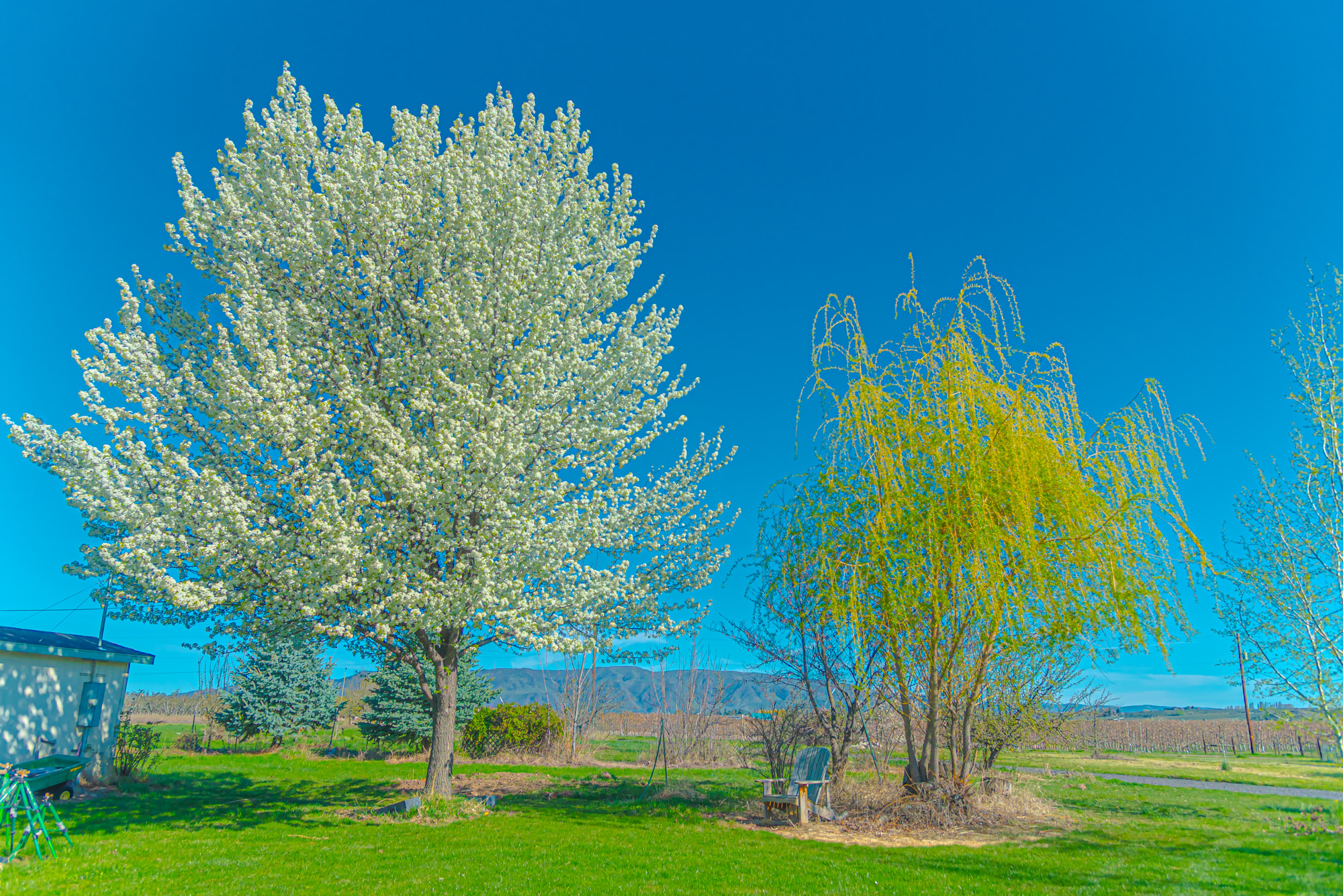 _7503665-HDR.jpg