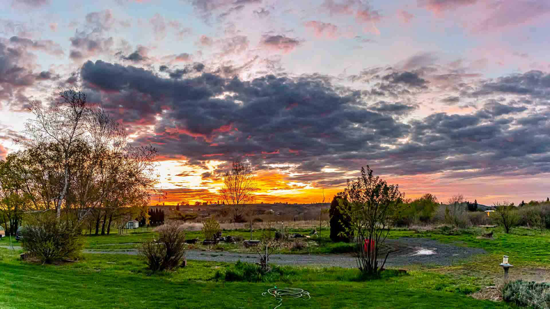 _7503689-Pano.jpg