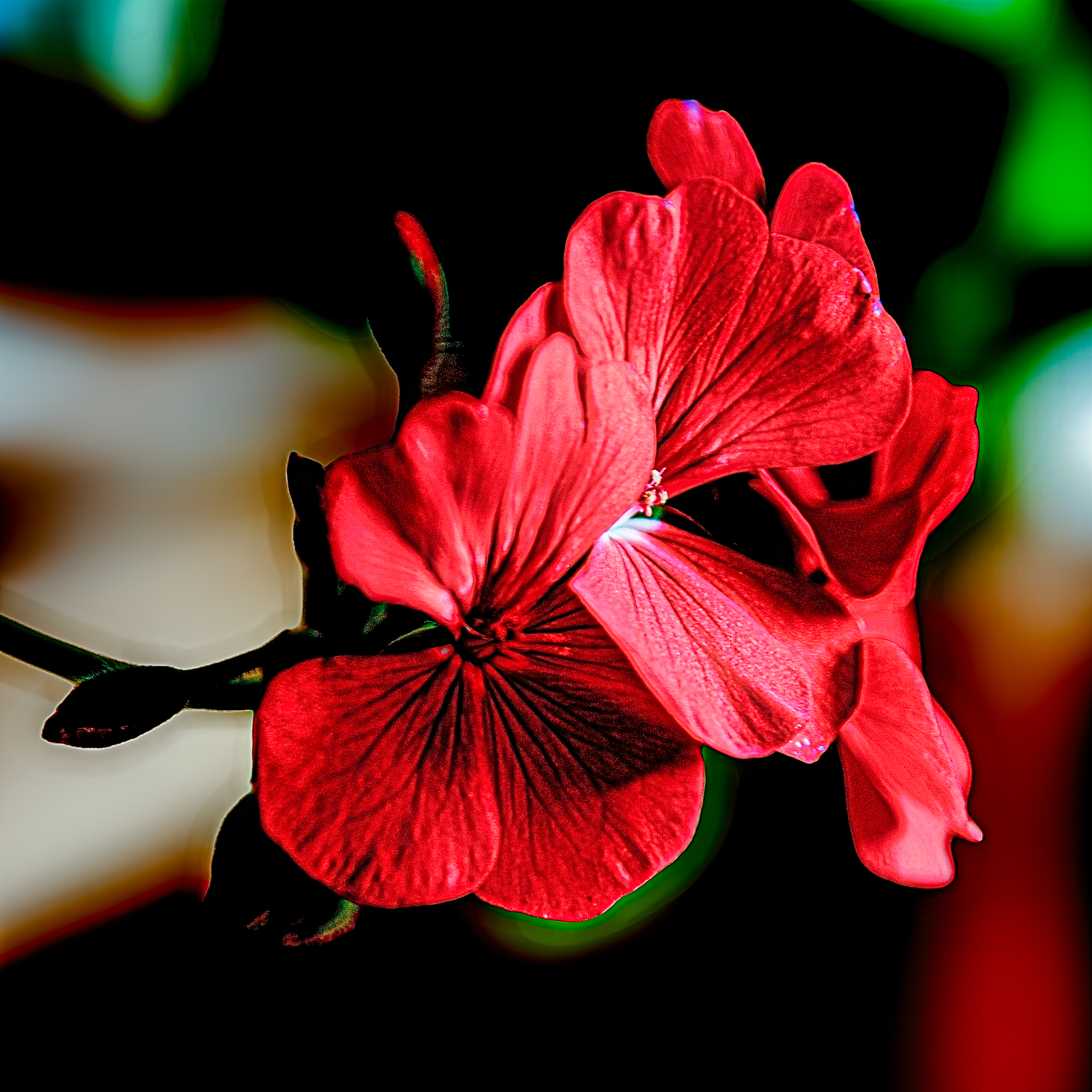 _7504406-Edit.jpg