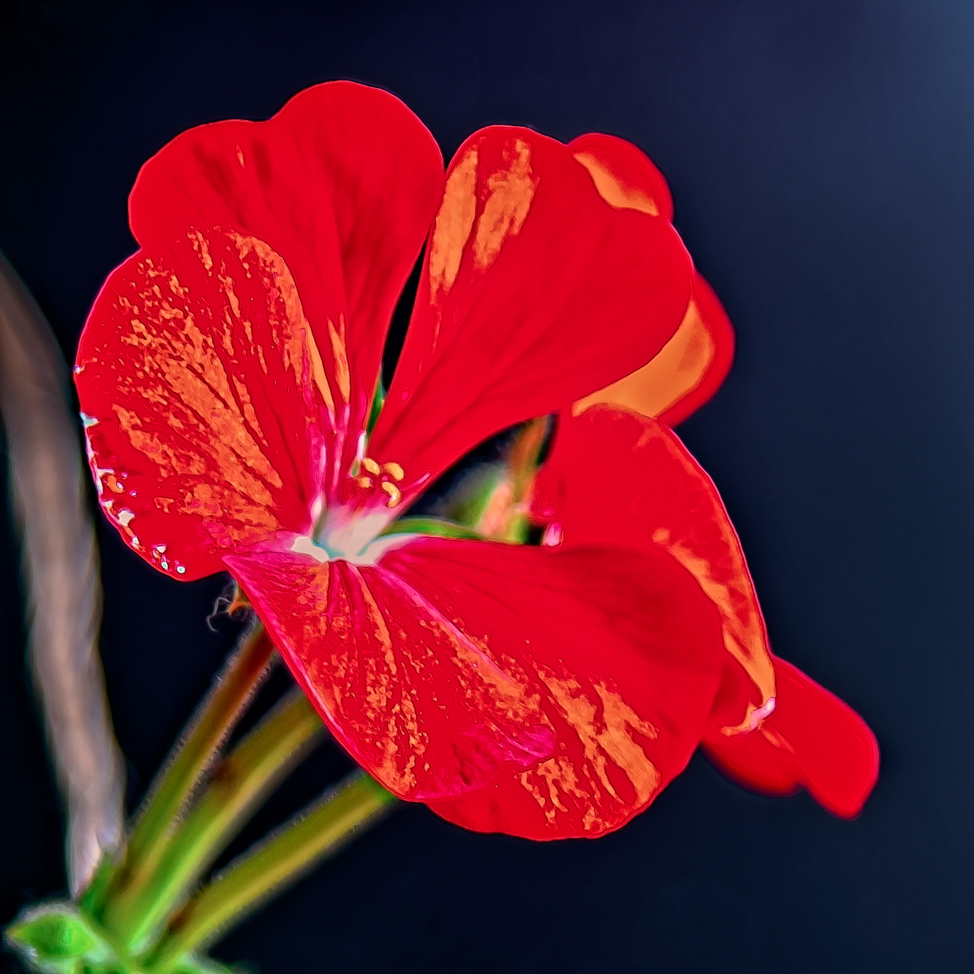 _7504408-Edit.jpg