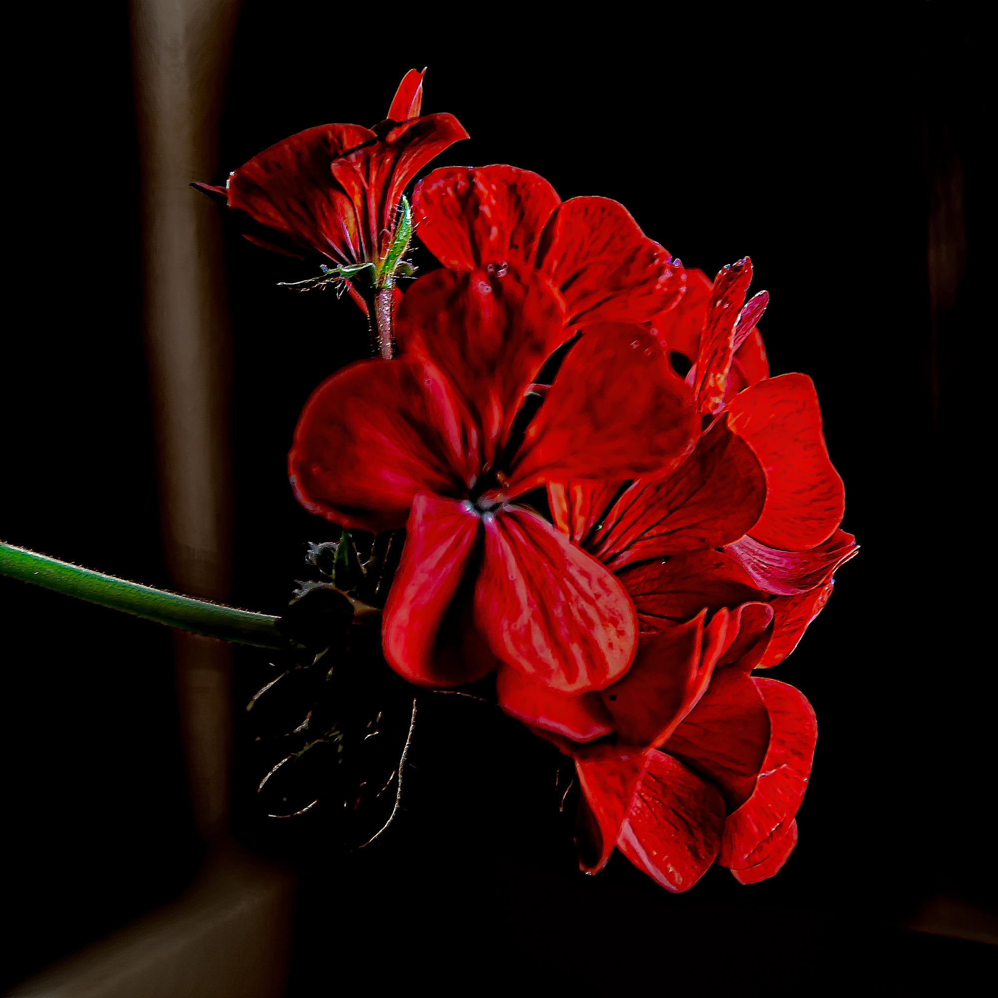 _7504411-Edit.jpg