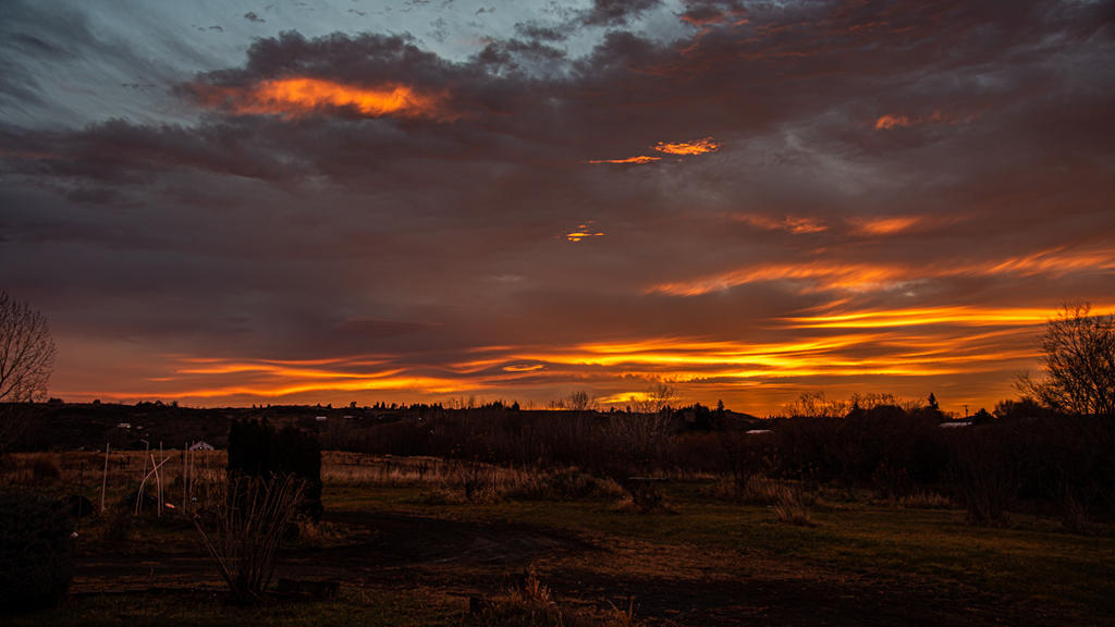 _7504414-2.jpg