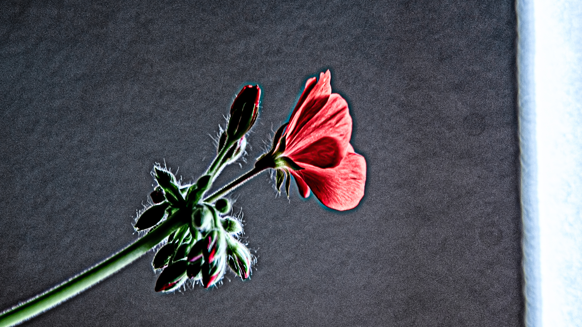 _7504414-Edit.jpg