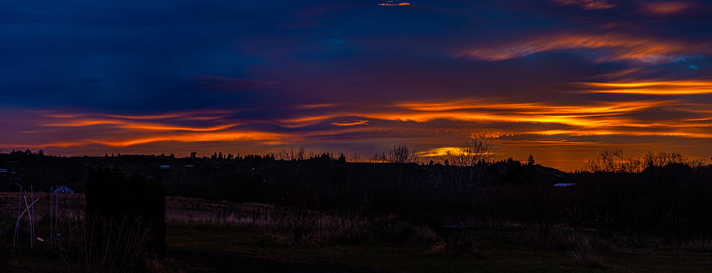 _7504419-Pano.jpg