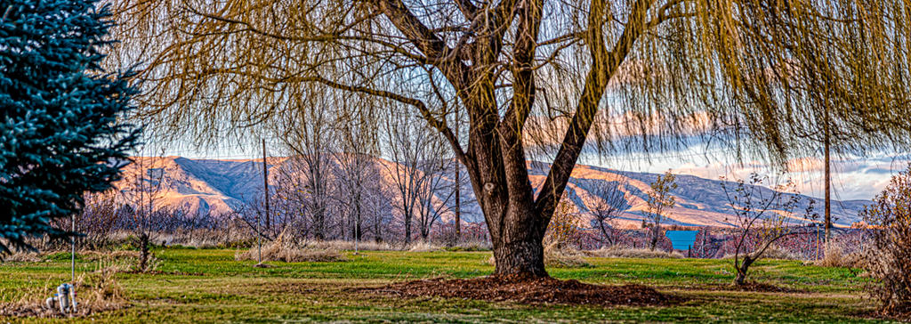 _7504423-Pano-Edit.jpg