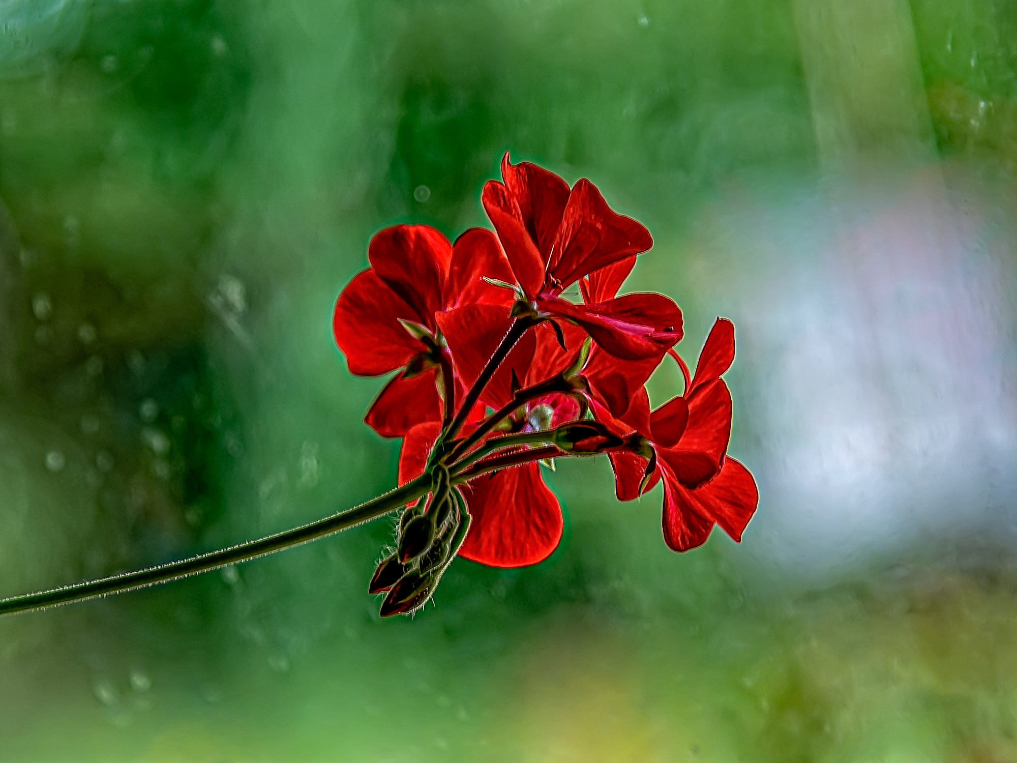 _7504425-Edit.jpg