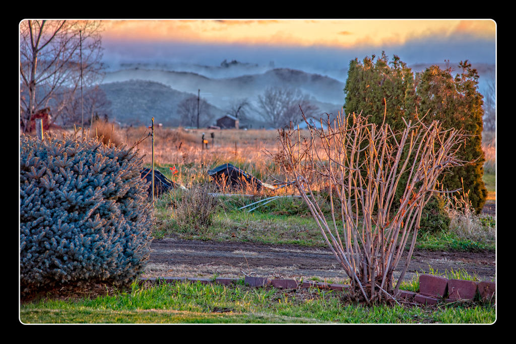 _7504452-Edit.jpg