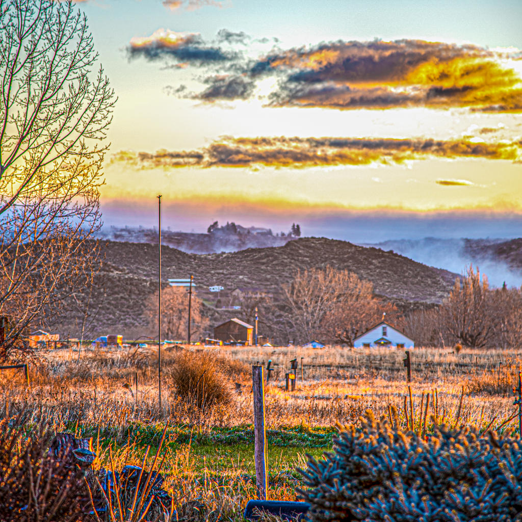 _7504462-Edit-Edit-Edit.jpg