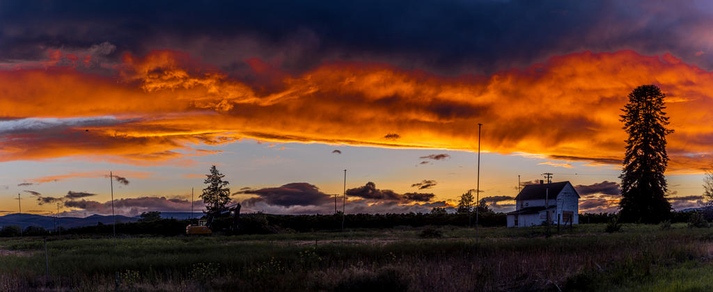 _7506871-Pano.jpg