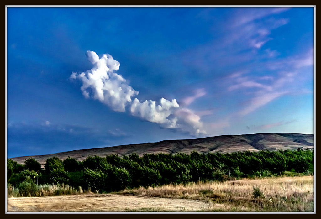 _7506947-HDR.jpg