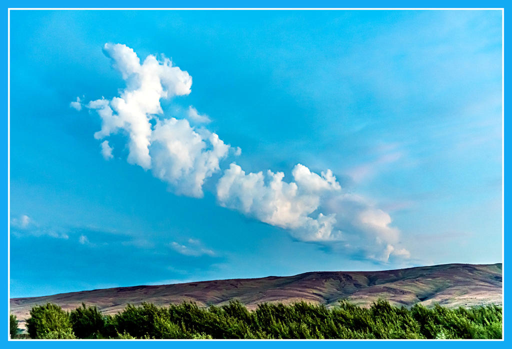 _7506978-HDR.jpg
