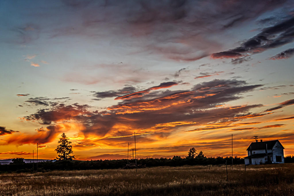 _7507287-Edit.jpg