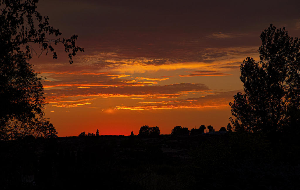 _7507293-Edit.jpg