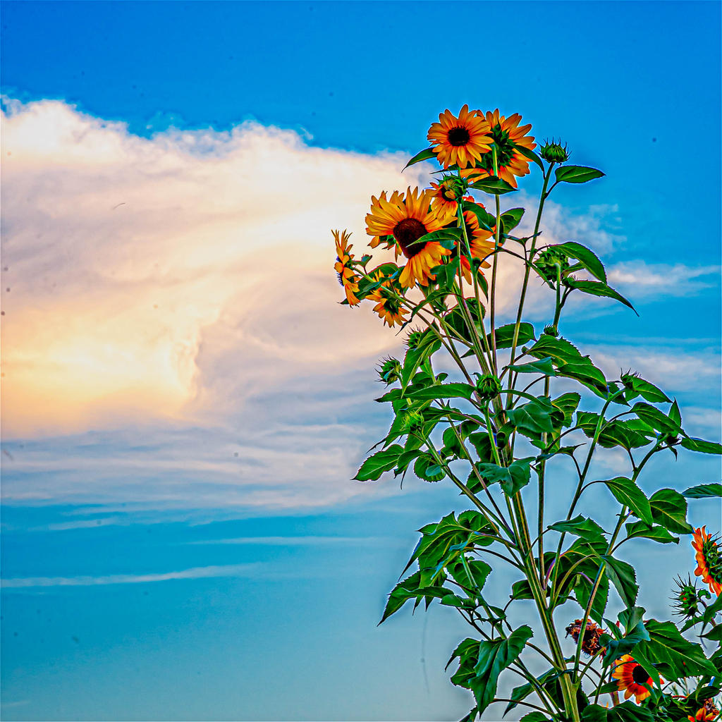 _7507323-Edit.jpg