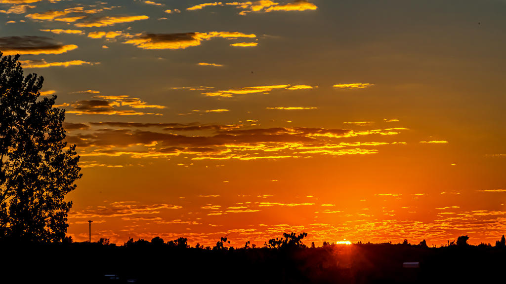 _7508102-HDR.jpg