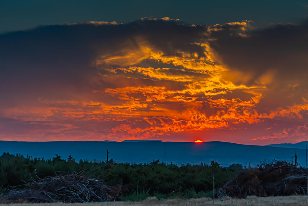 _7508247-HDR.jpg