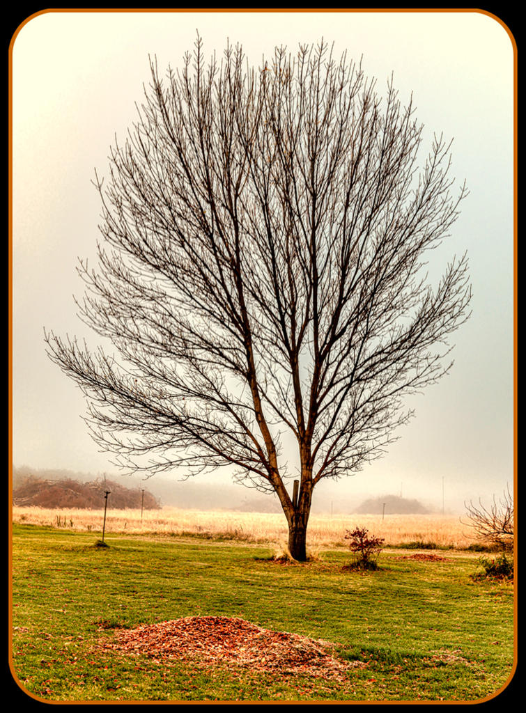 _7508596-Pano.jpg