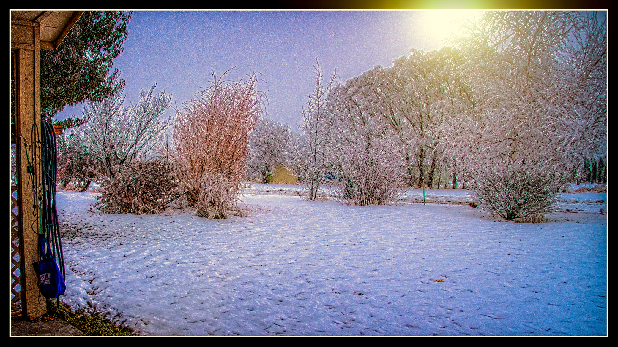 _7508904-Enhanced-Edit.JPG