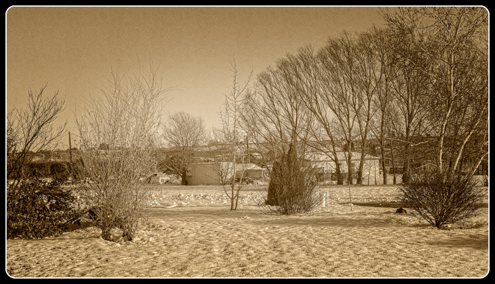 _7508997-Edit.JPG