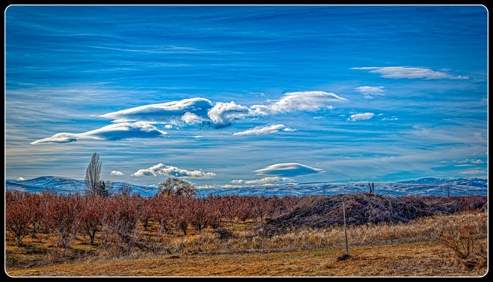 _7509177-Pano-Edit-2-Edit-Edit.JPG