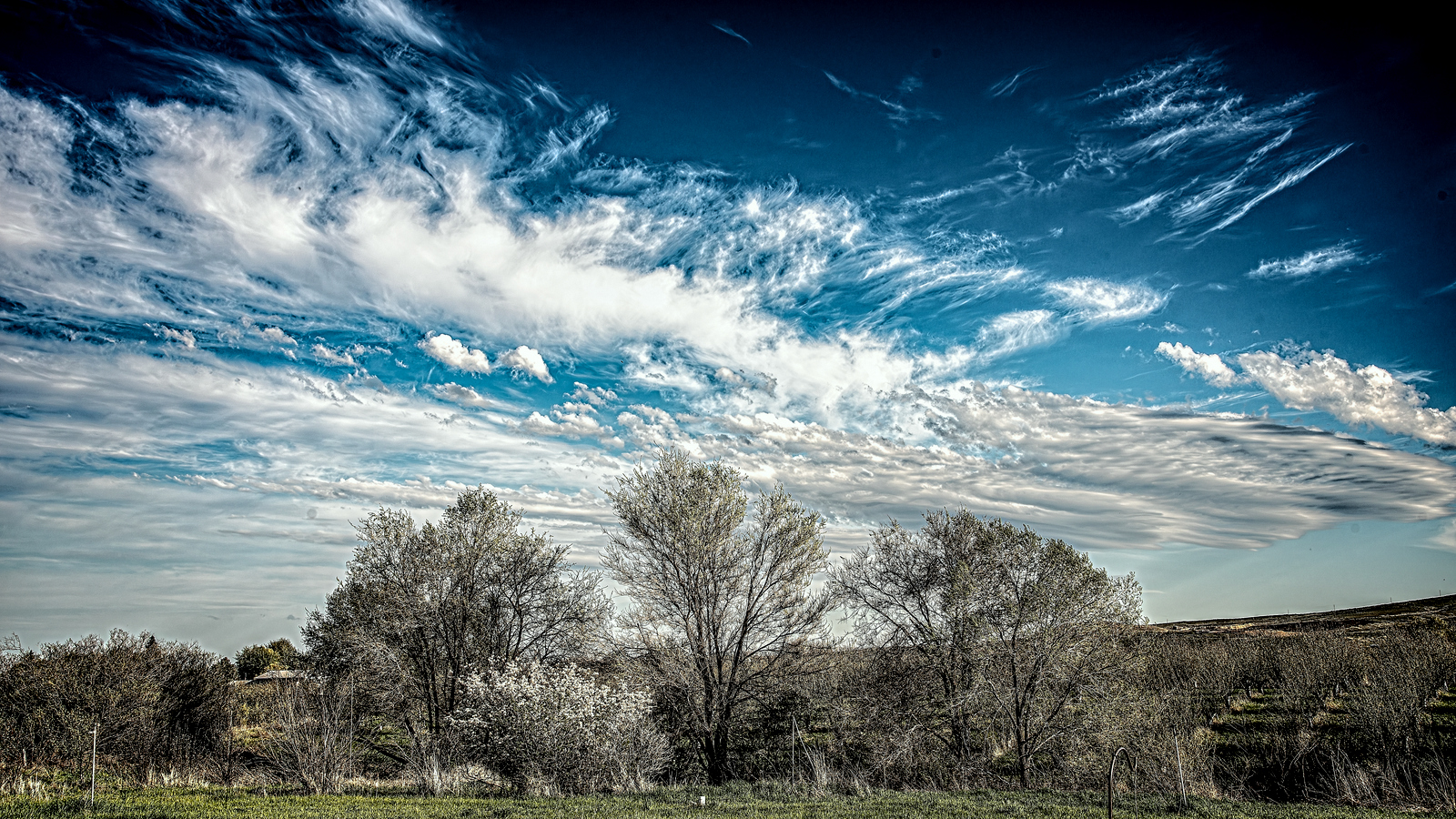 _7509346-Enhanced-NR-Edit.JPG