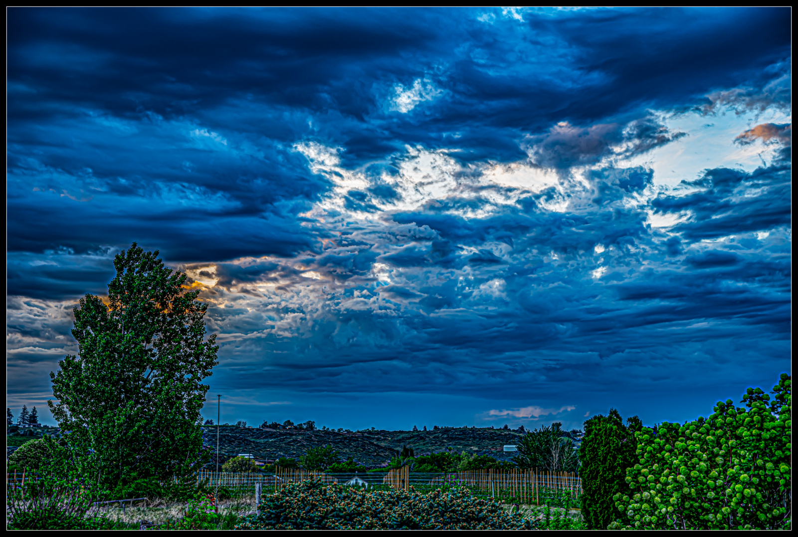 _7509358-Edit.JPG