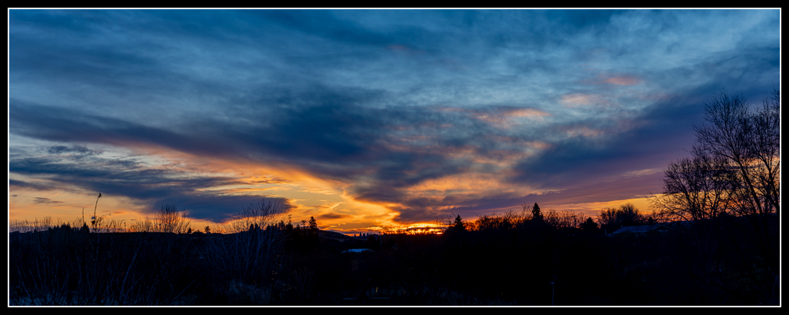 _7509999-Pano.jpg