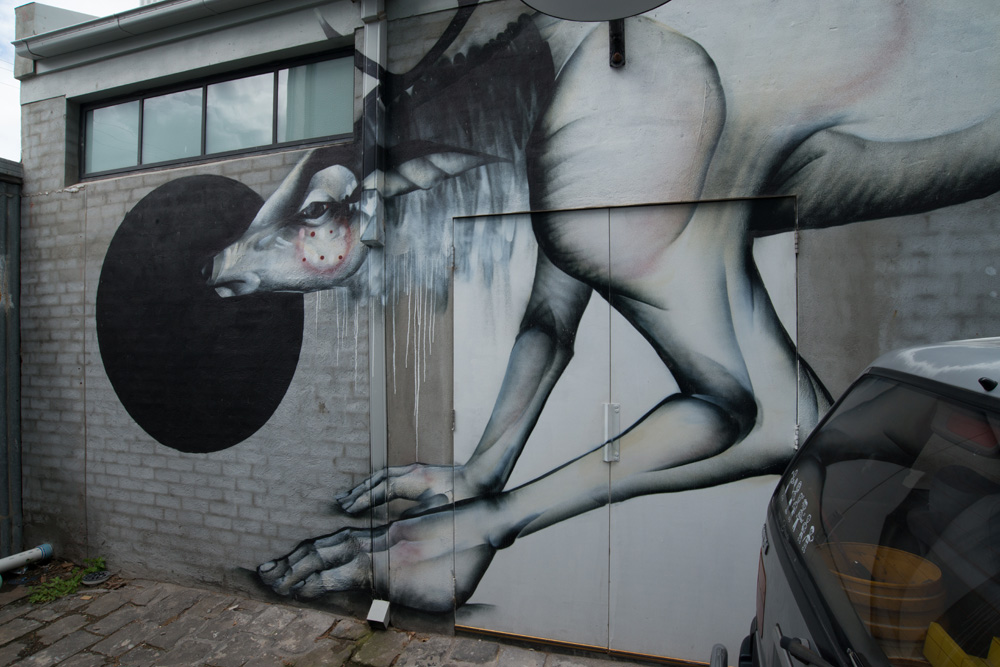 _8001305-SML.jpg