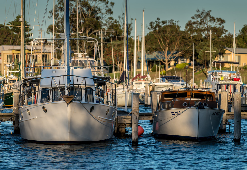 _8003298-sml.jpg