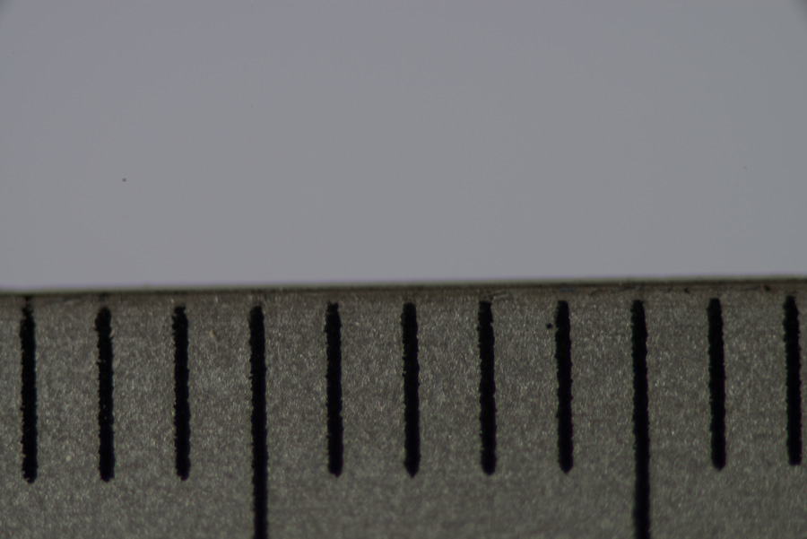 _8004143.jpg