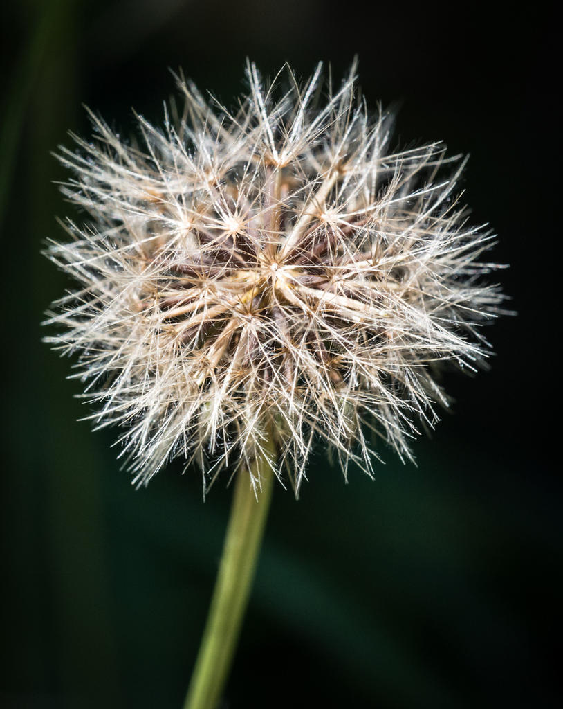 _8004512-s.jpg
