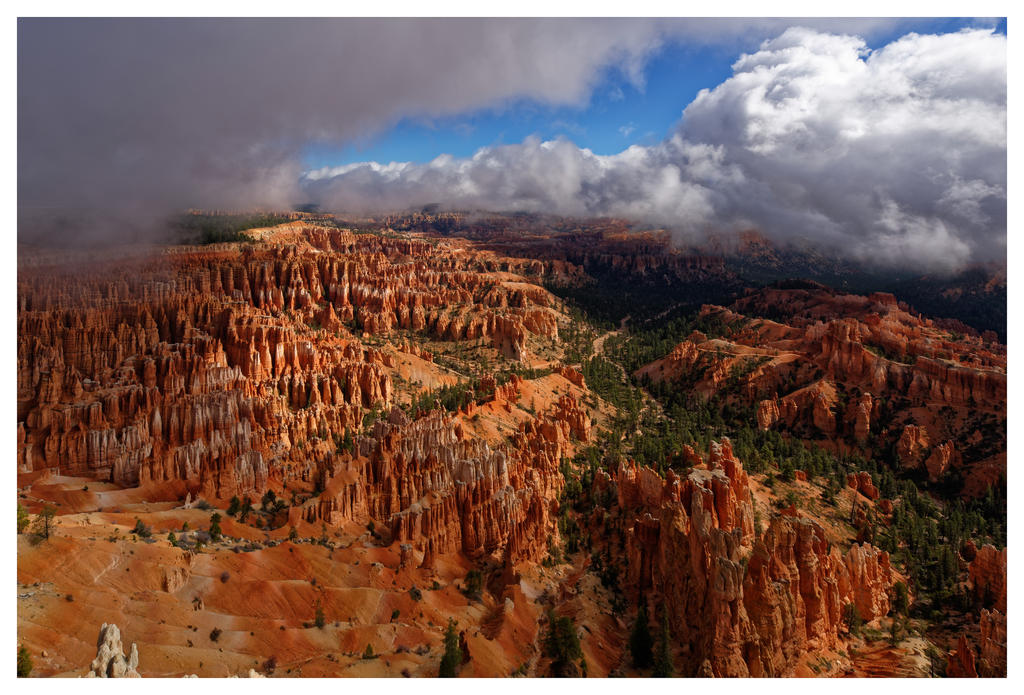 _8103653_DxO.jpg