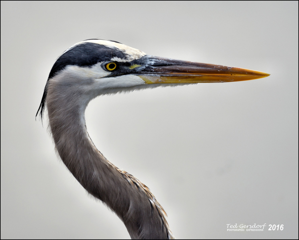 _867CMA  8-28-2015.JPG