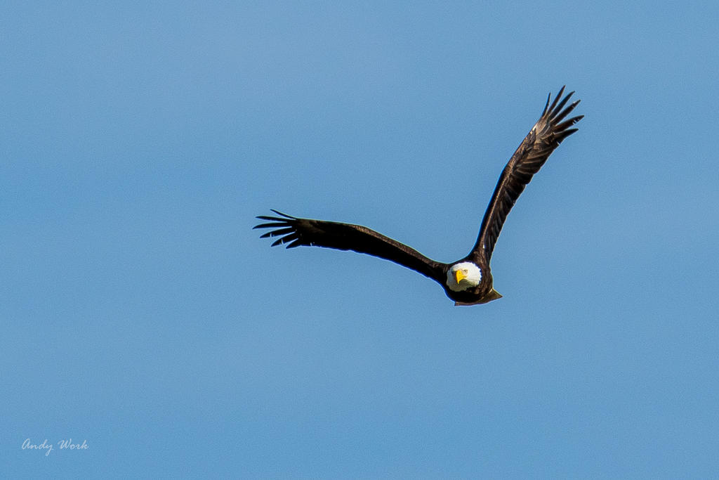 _A505024.jpg
