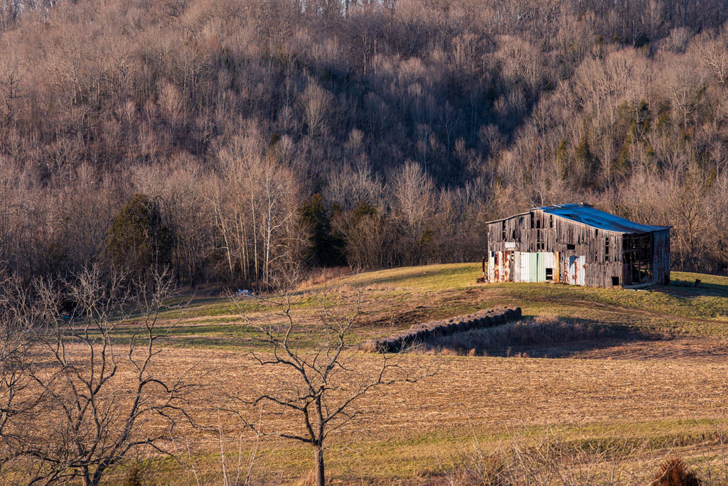 _A810616.jpg