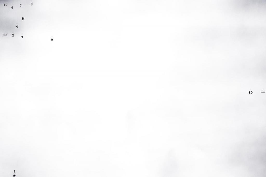 _D614390-Edit.jpg