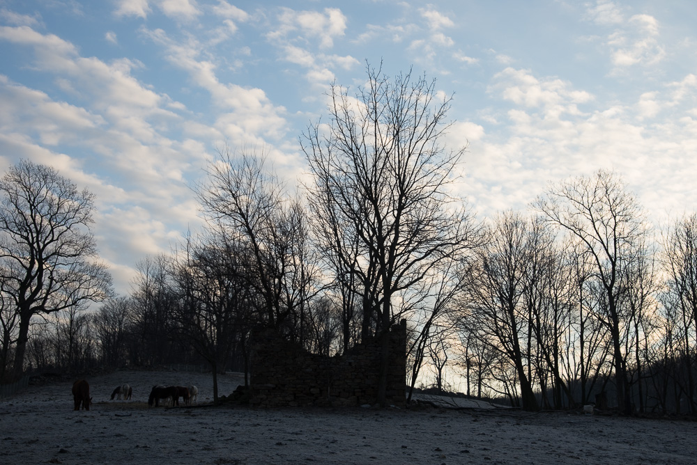 _D622191-3.jpg